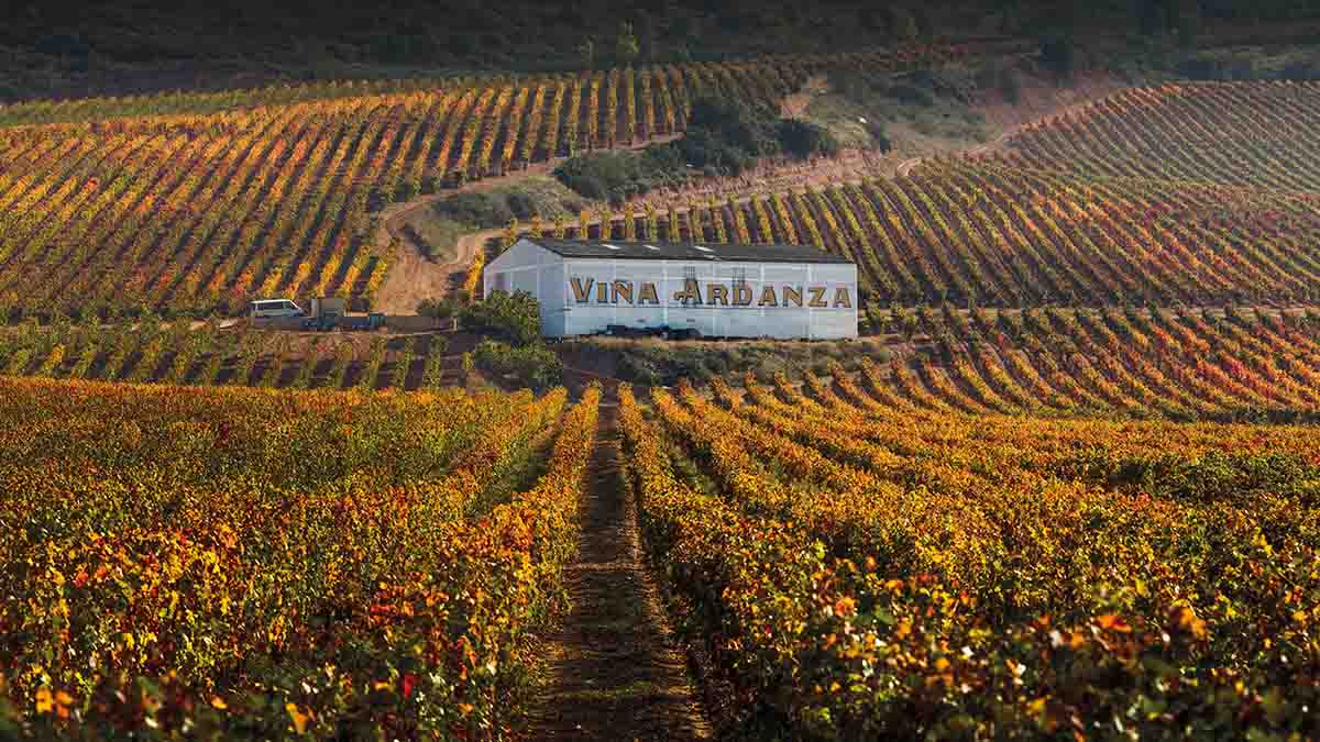 Viñedos La Rioja Alta