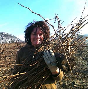 Katie living the winemaking dream in the Languedoc