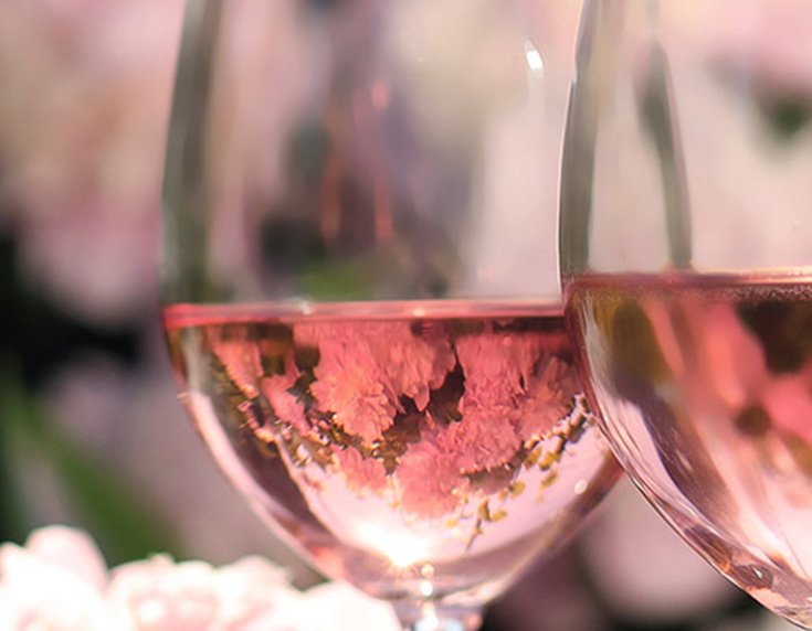 Rosé mixed cases