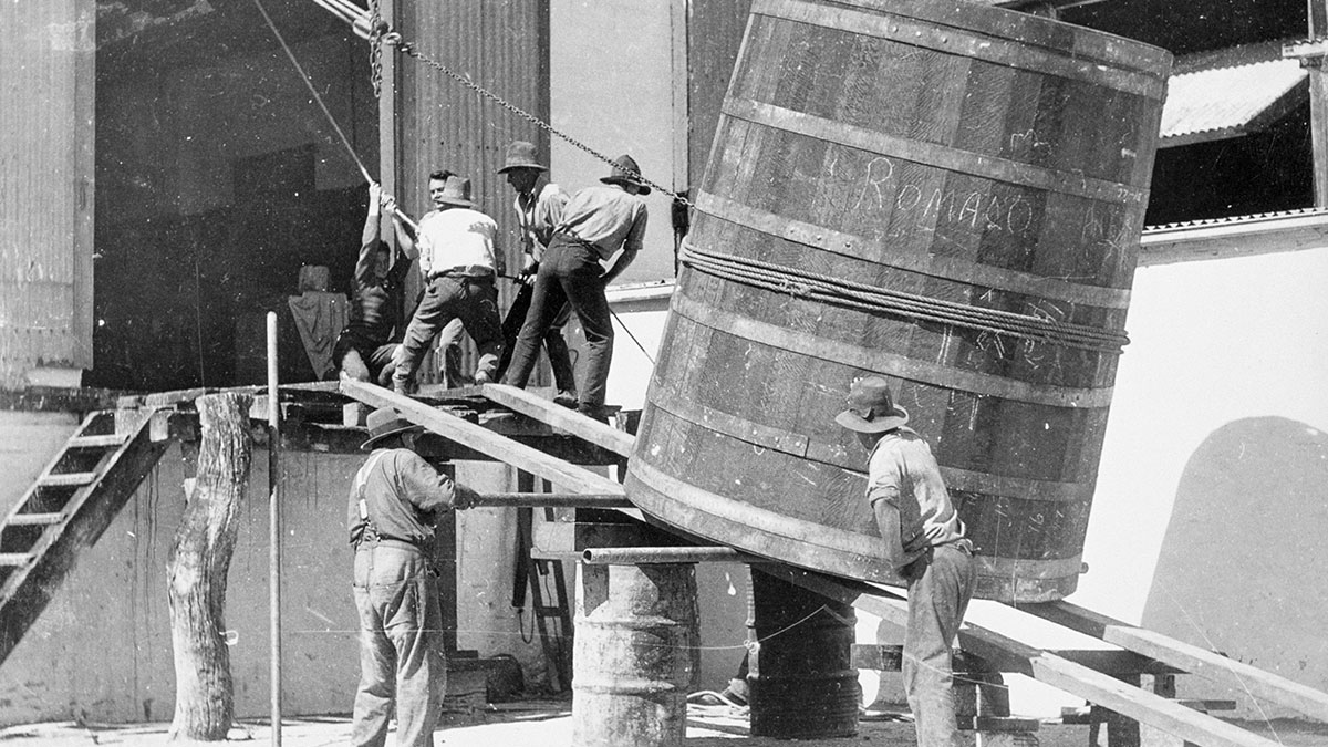 Winemakers On The Devastating Effects Of Covid