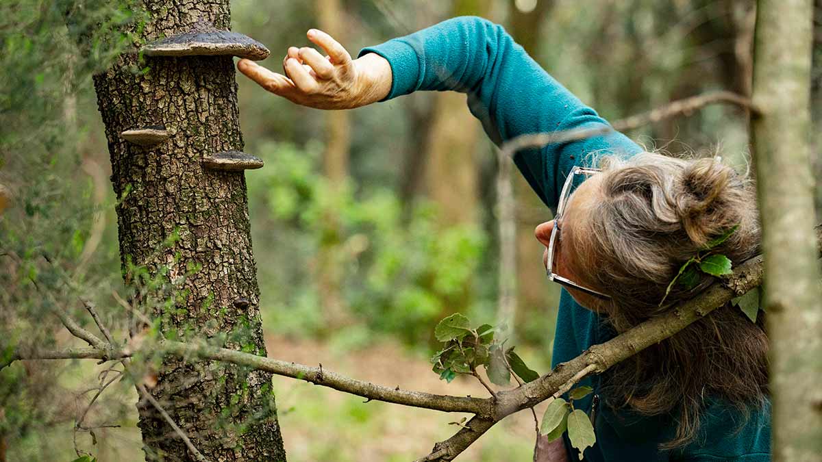Paying attention to nature: Katia Nussbaum stops to admire bracket mushrooms on her trees