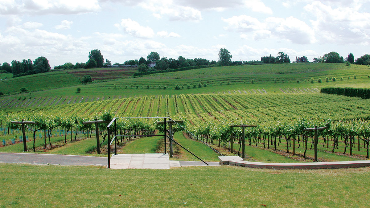 Three Choirs Vineyard, Gloucestershire the home of The Society's English Wine