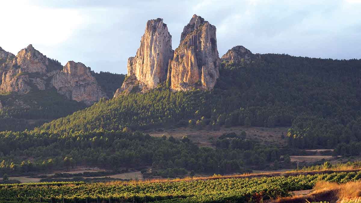 The Ultimate Guide to Rioja Wine