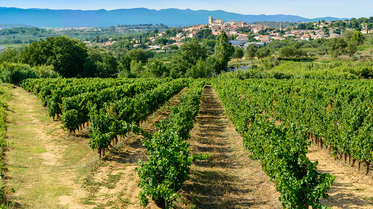 From Leicester to the Languedoc: What Katie Jones Did Next