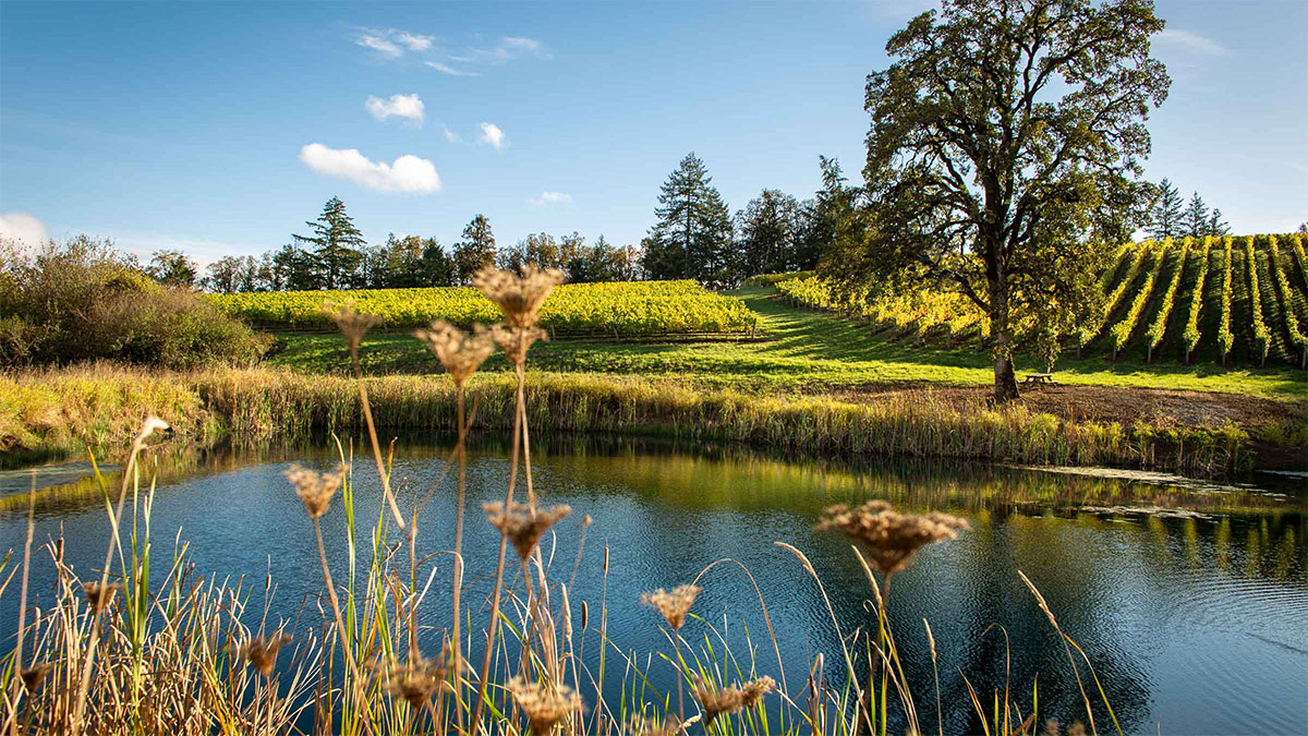 Sustainability trends