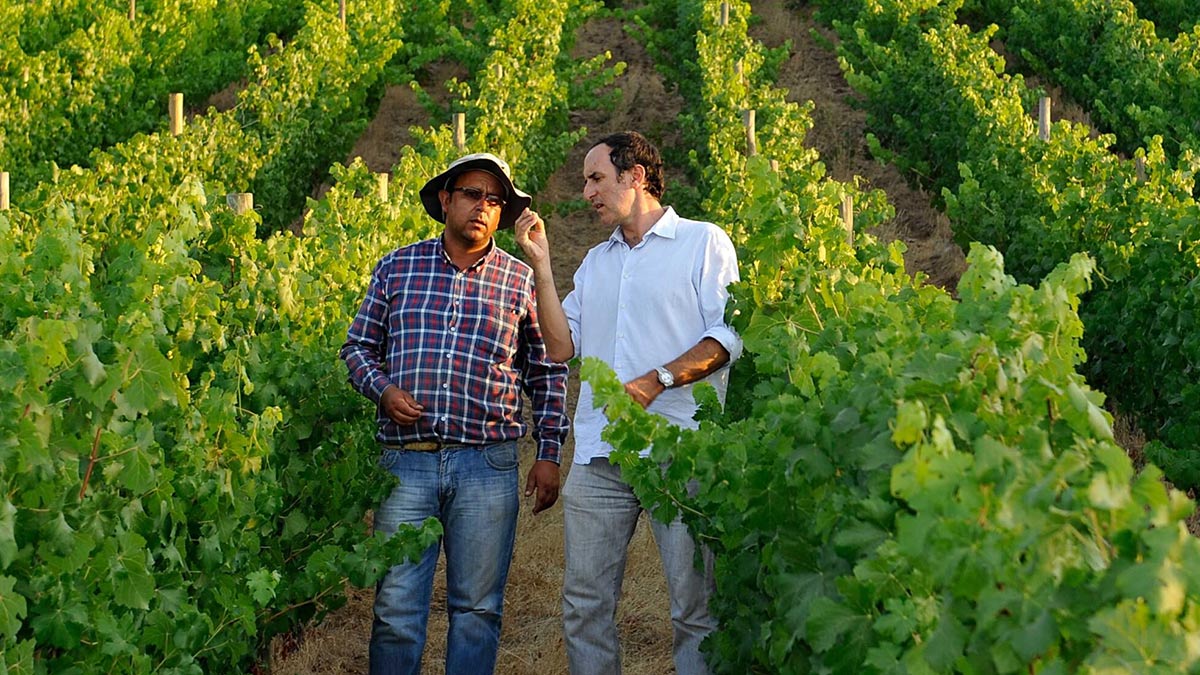 Cristóbal Undurraga  (right) of Viña Koyle in Chile, spends as much time in the vineyards as he can.