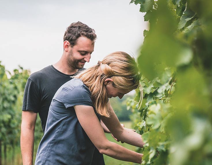 Natural Wines