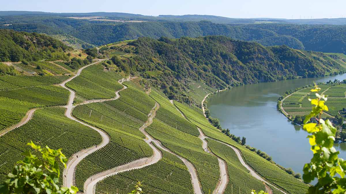 PIESPORTER GOLDTRÖPFCHEN Mosel Bischofsliecher Weingut