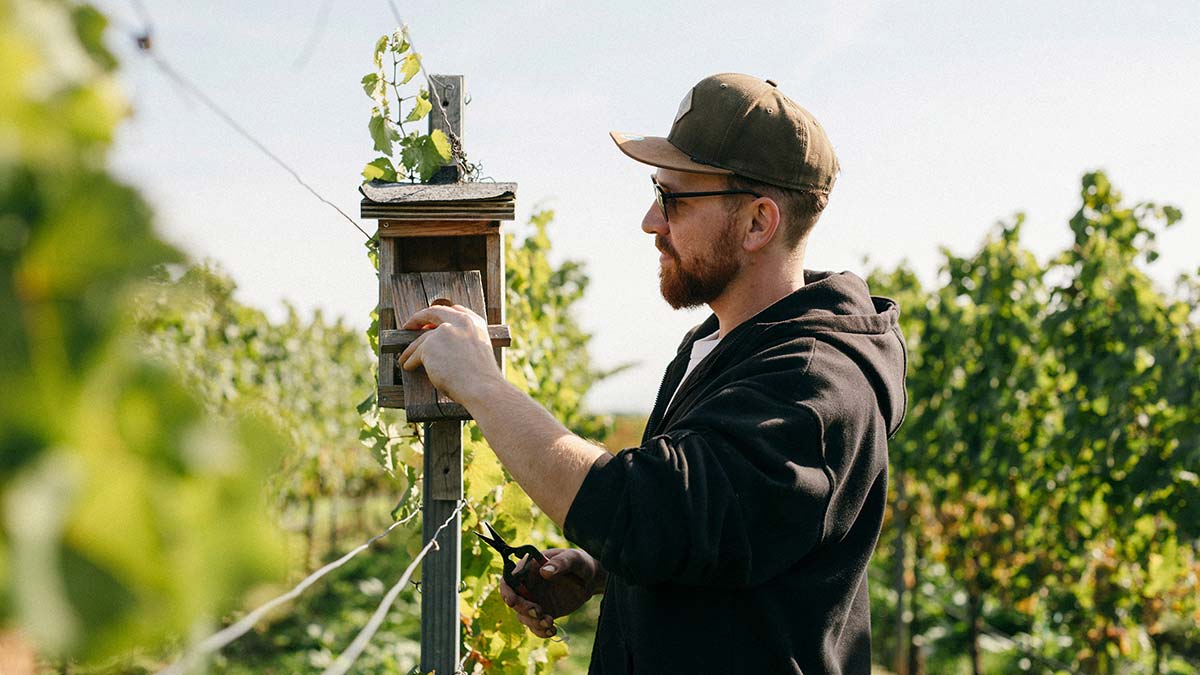 Winemaker owner Vincent Eymann