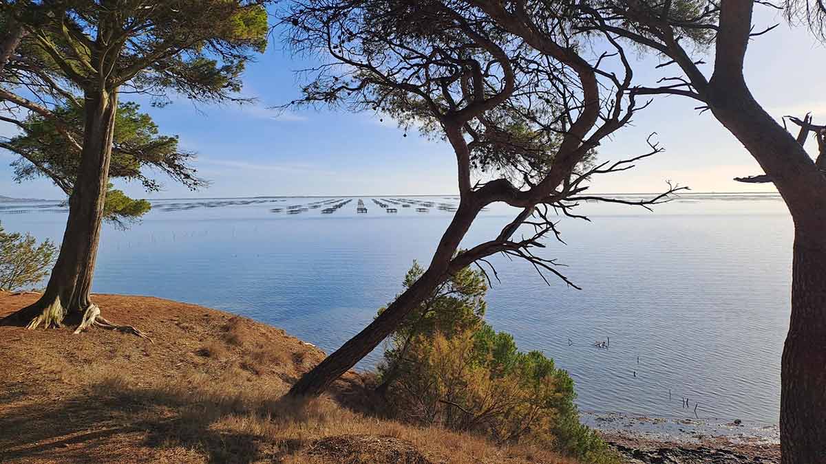Etang de Thau