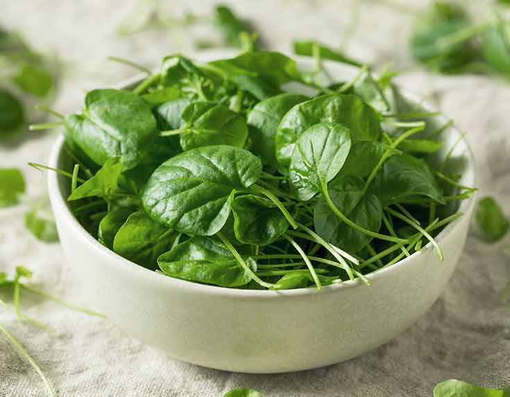 Watercress