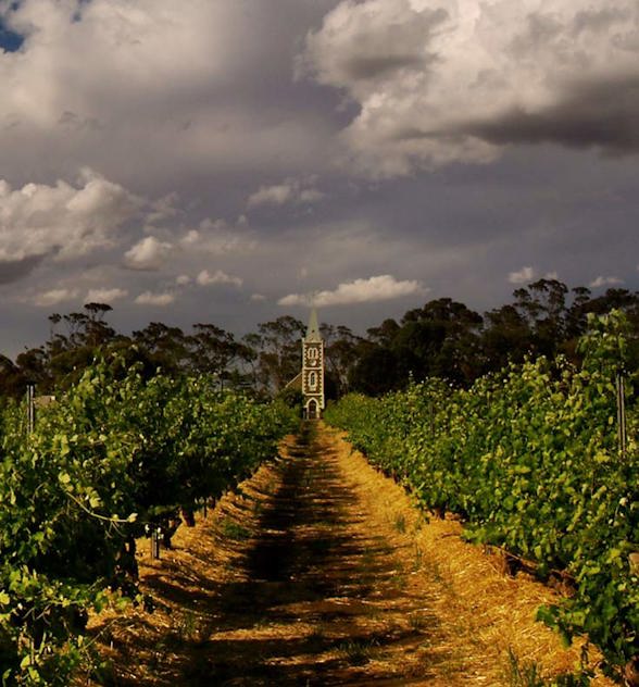 The famous Henschke Hill of Grace vineyard in the Barossa, home to some of the world’s oldest shiraz vines
