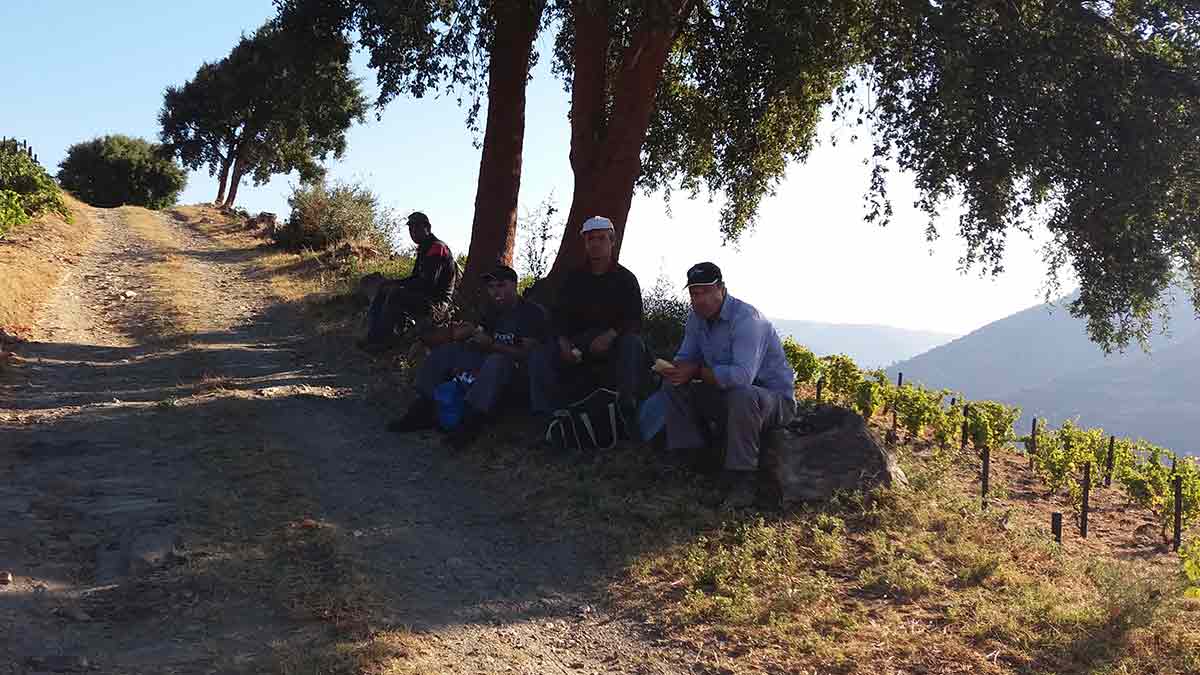 Pickers enjoying a well-earned break in the Douro
