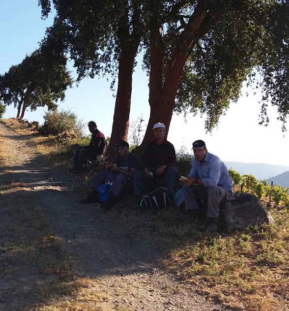 Pickers enjoying a well-earned break in the Douro