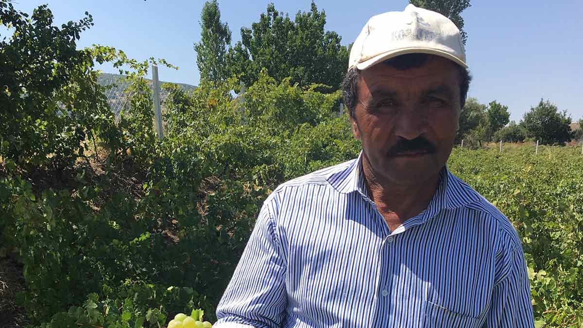 Yaban Kolektif work with growers to help improve vineyard practices to help preserve these old treasures. Fettah Kuzoluk, a grower in Ayağıbüyük