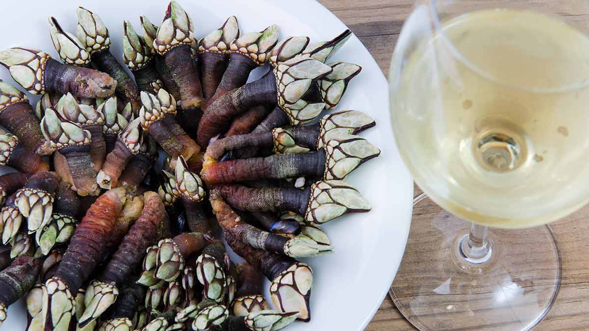 Goose barnacles – salty, briny and full of the sea