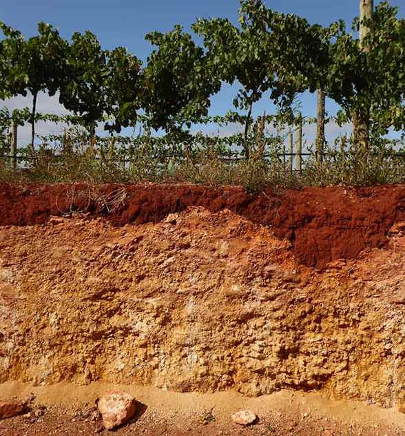 Trench in Coonawarra, South Australia showing the famous terra rossa soil