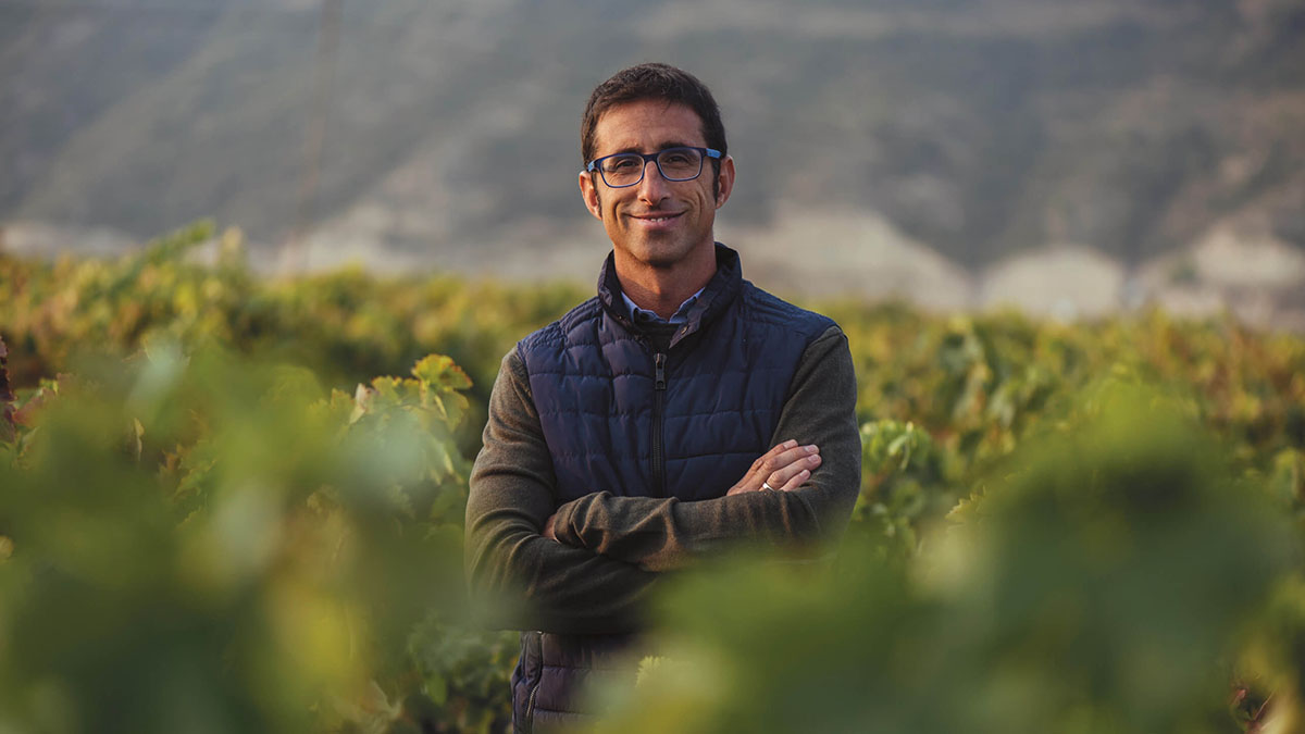 Going behind the scenes: three new Exhibition wines