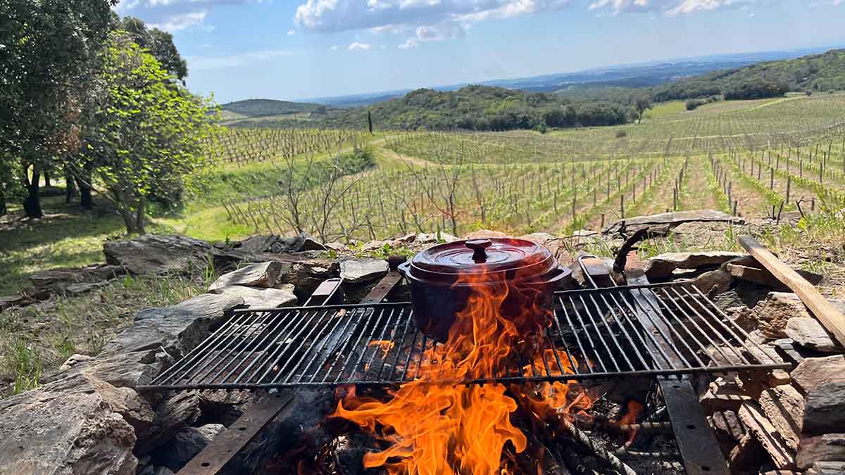 Pot-au-feu in the vineyards at Domaine Bardi d'Alquier, Faugères
