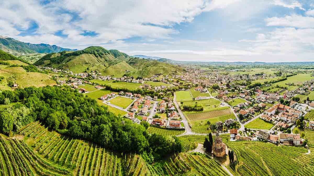 The hillside source of our much-loved Society’s Prosecco