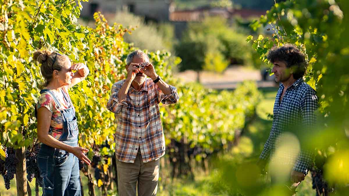 Measuring Brix levels in San Polino’s vineyards