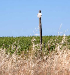 Climate Resilience