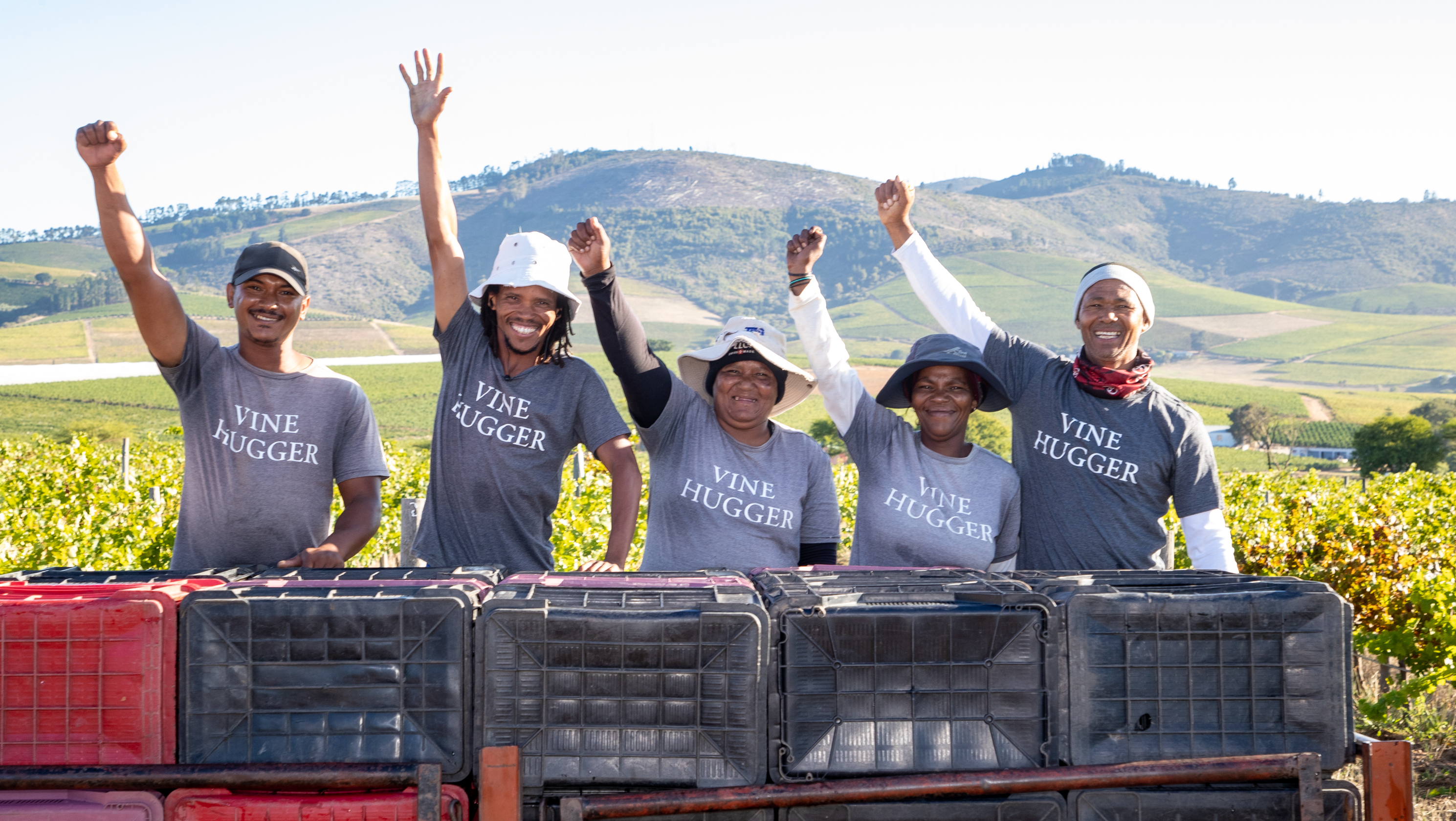 Vineyard team 1