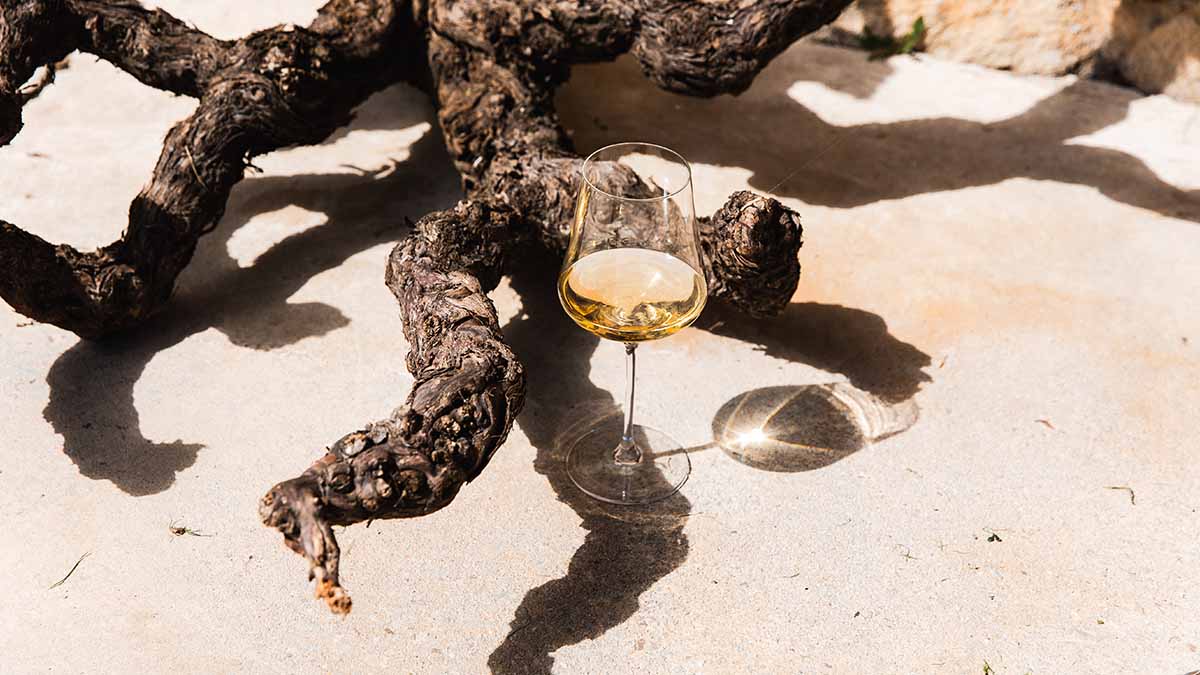 Chenin header