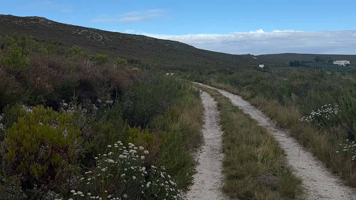 The fynbos