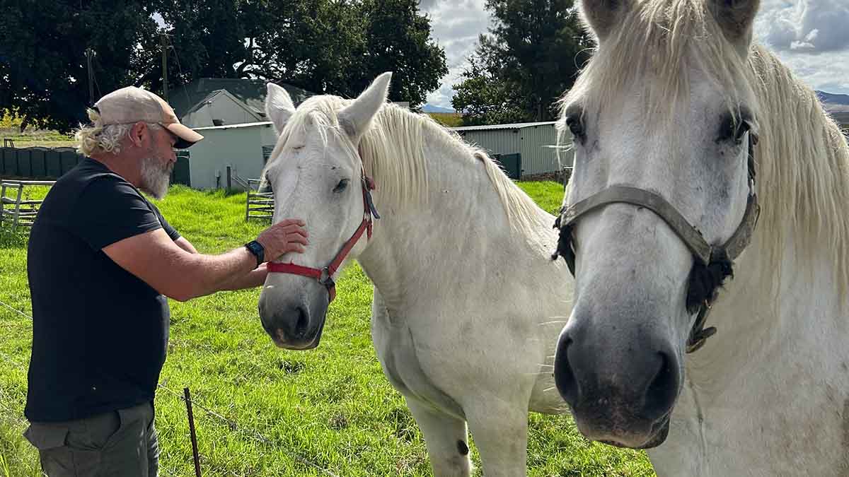 Adi and Horses