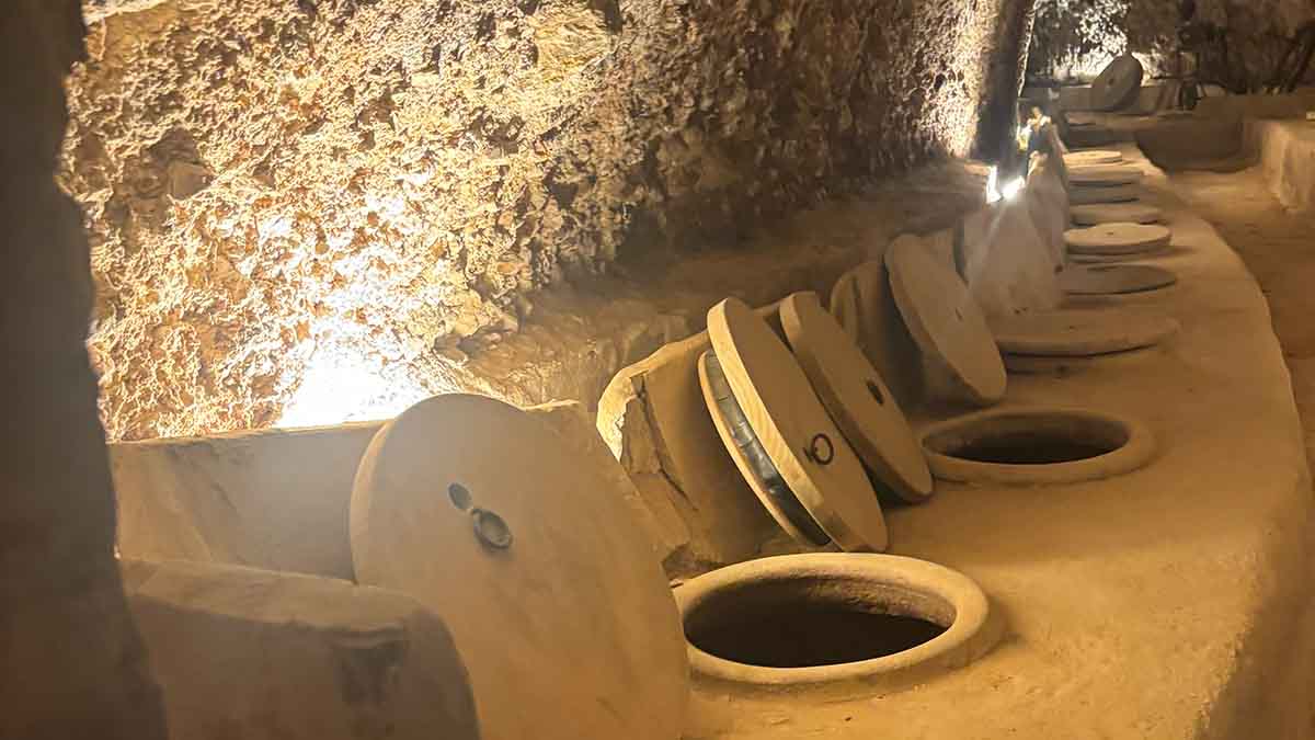 The 500-year-old underground cellar