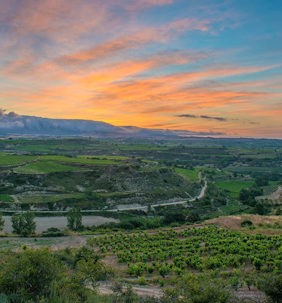 735 x 790 Rioja Header DSC1716