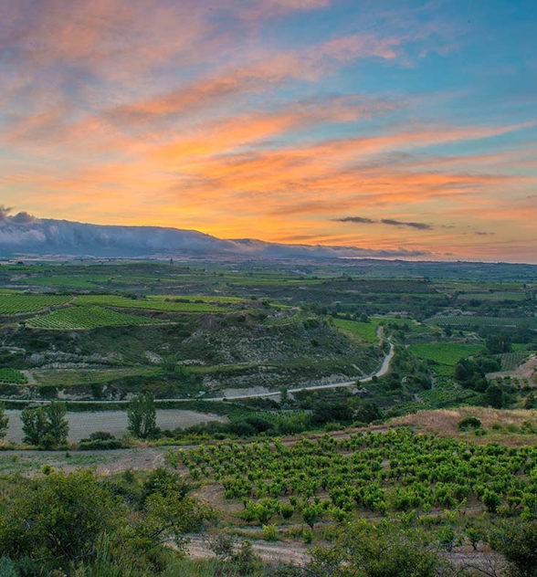 735 x 790 Rioja Header DSC1716