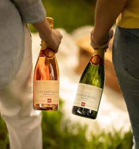 735 x 790 Sparkling Partnership Header
