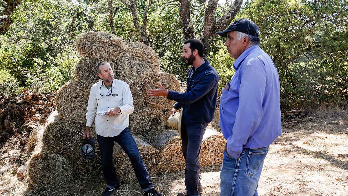 Knowledge-sharing at Hanzell Vineyards. Our webinars have helped connect winemakers virtually across the globe