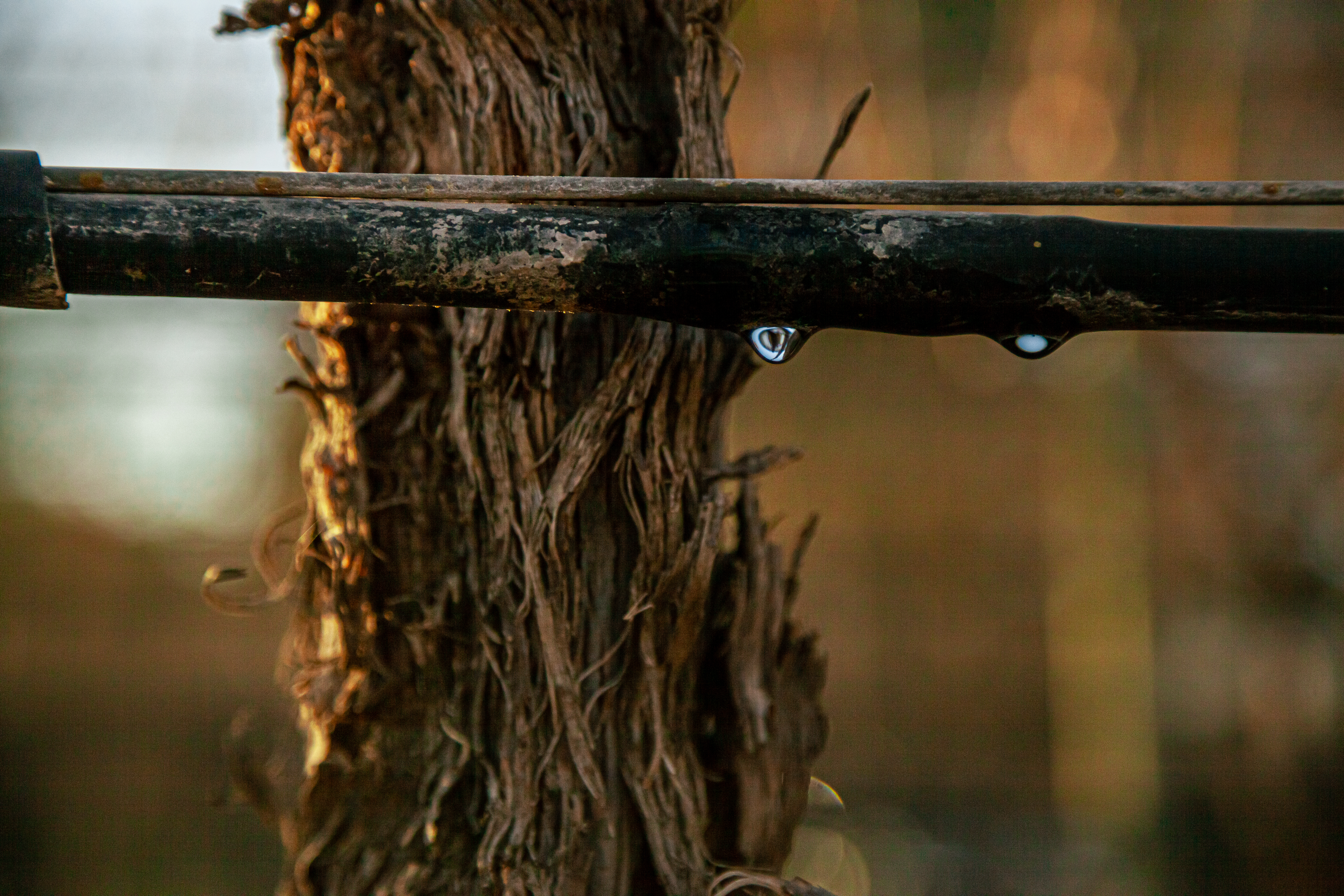 Drip irrigation
