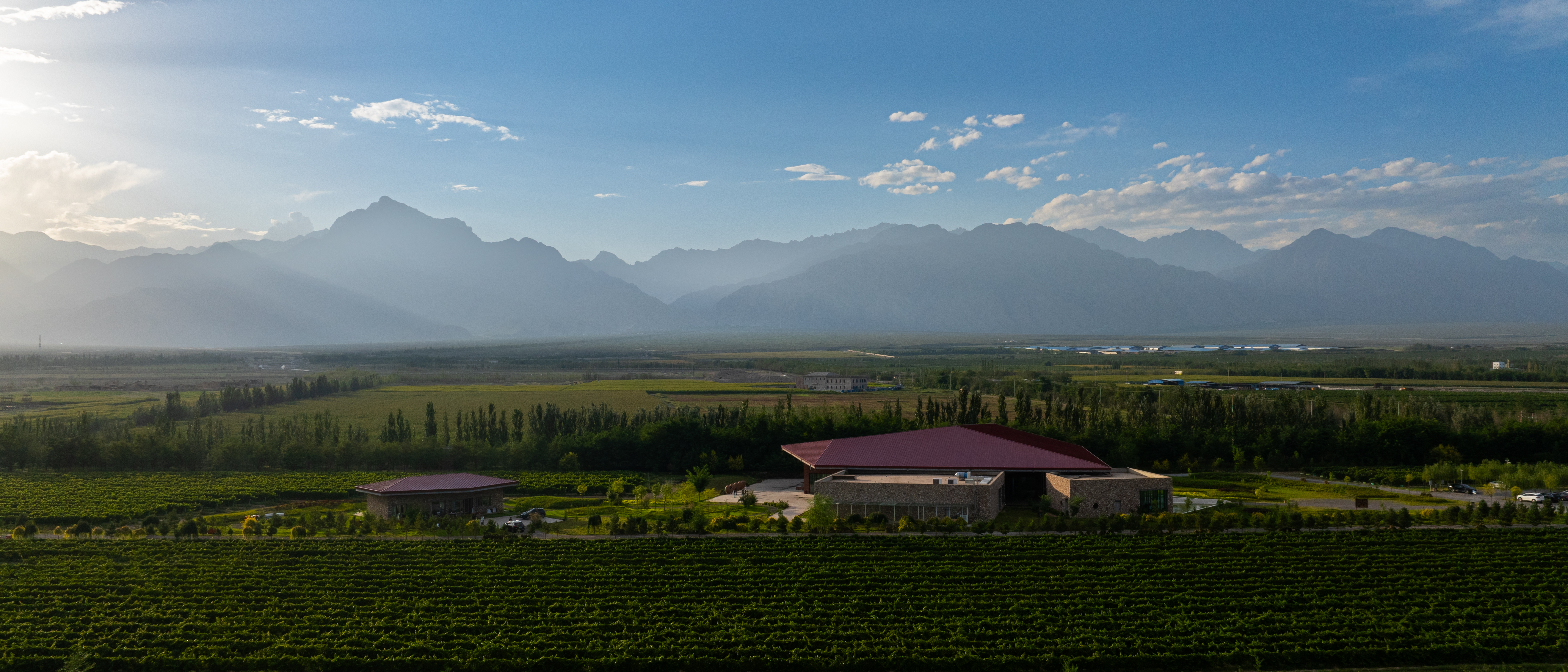 Silver heights