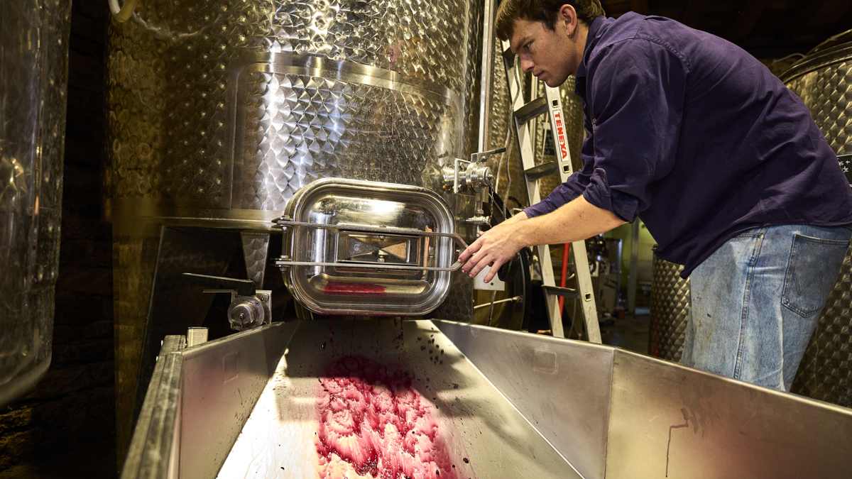 Wine making