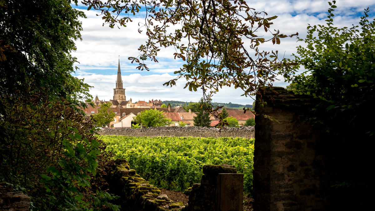 Meursault’s dreaming spire
