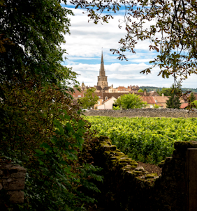 Meursault thumbnail 735x790