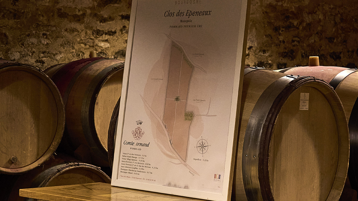 Cellar map