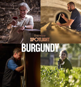 Spotlight Burgundy article 735x790px