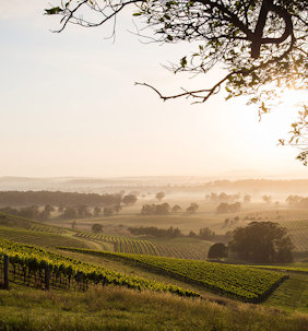 Hunter-Valley-at-sunrise-735x790