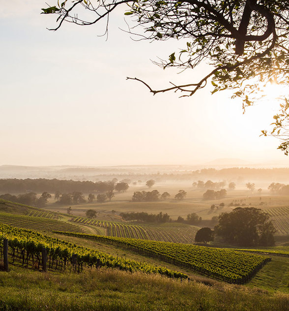 Hunter-Valley-at-sunrise-735x790