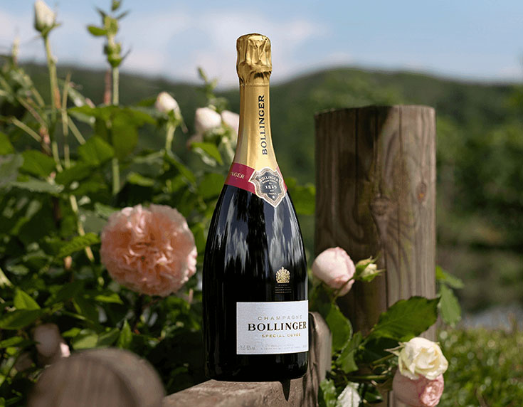 Bollinger savings