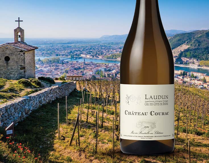 Spotlight: Rhône