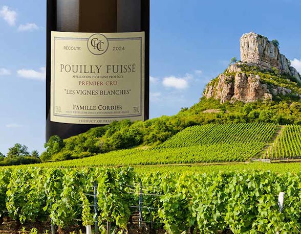 Burgundy south