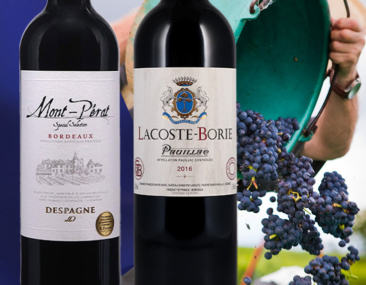 New Bordeaux wines