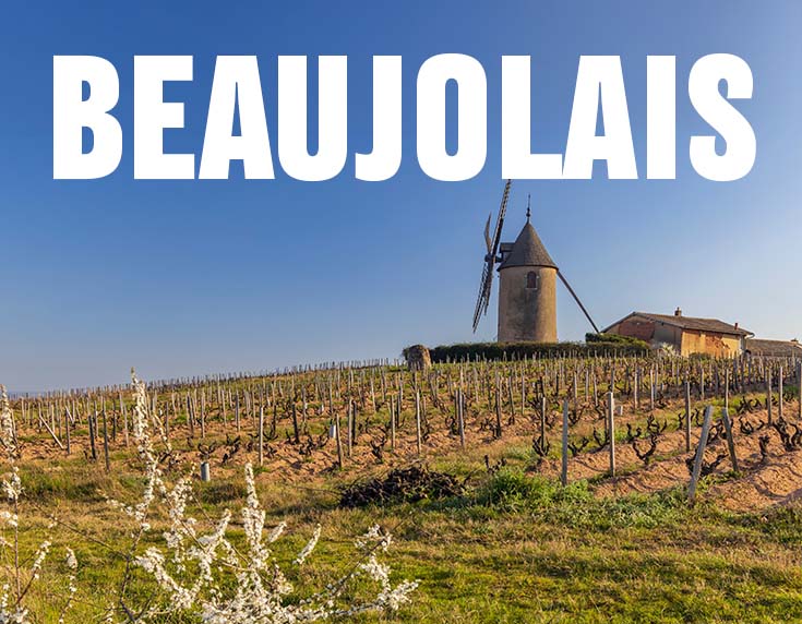 Beaujolais 735x572px