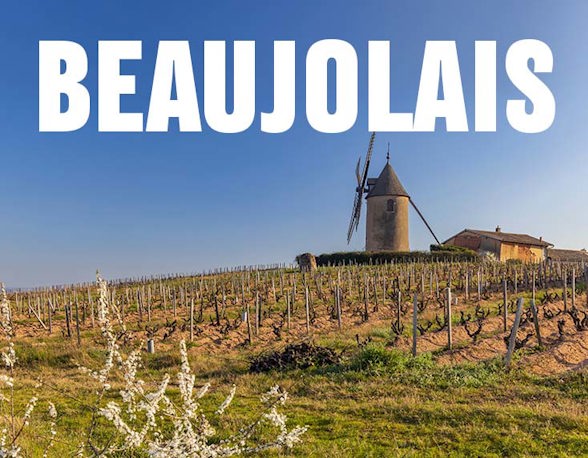 Beaujolais 735x572px